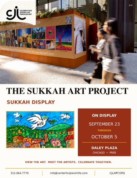 the sukkah art project sukkah display